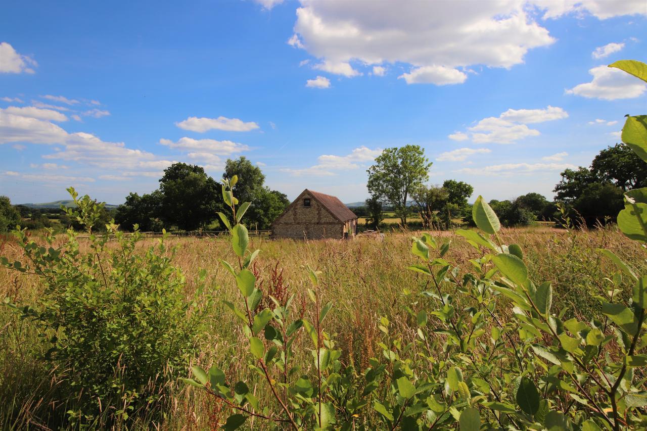 North Cottage - Country Retreat In The Heart Of Sussex -Twineham Esterno foto